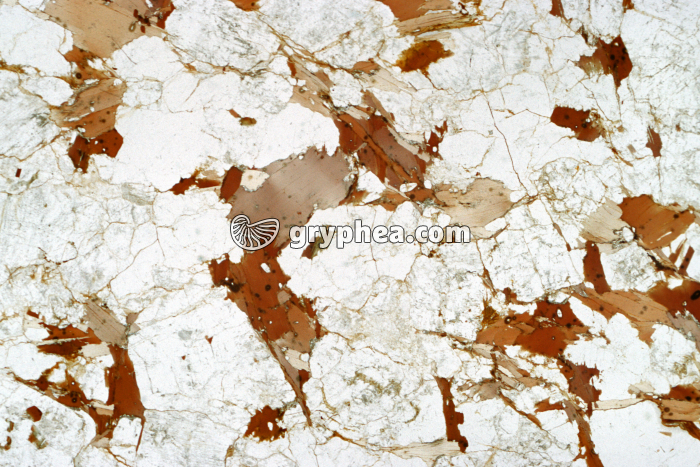 Granite LPNA x3 - gryphea.com